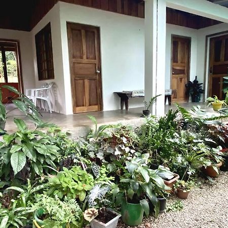 Affittacamere Casa Briza Nicoya Esterno foto