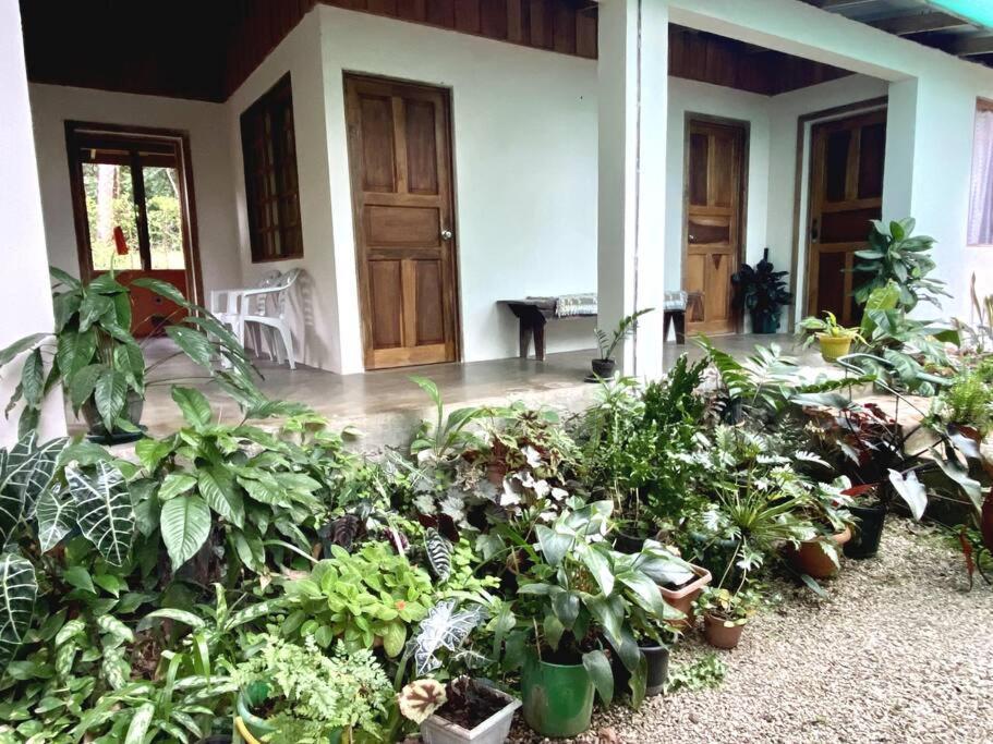 Affittacamere Casa Briza Nicoya Esterno foto