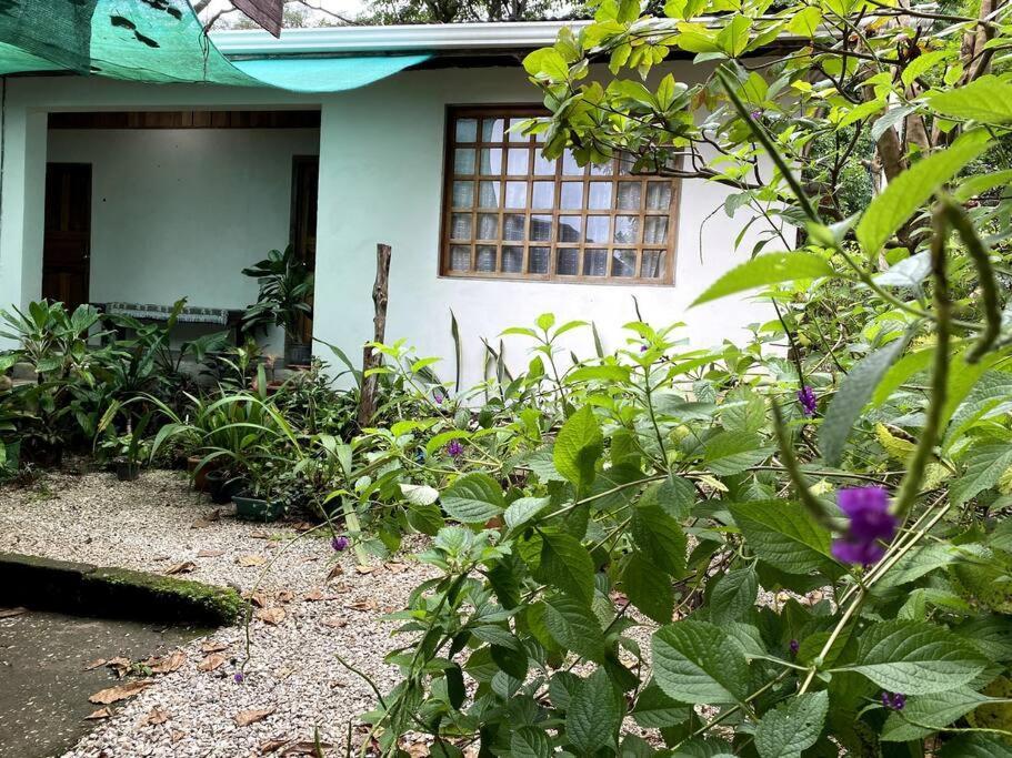 Affittacamere Casa Briza Nicoya Esterno foto