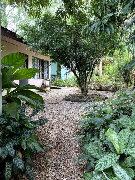 Affittacamere Casa Briza Nicoya Esterno foto