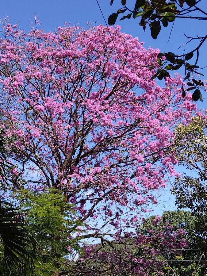 Affittacamere Casa Briza Nicoya Esterno foto